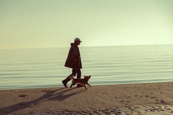 Flexible, trust-based work schedule